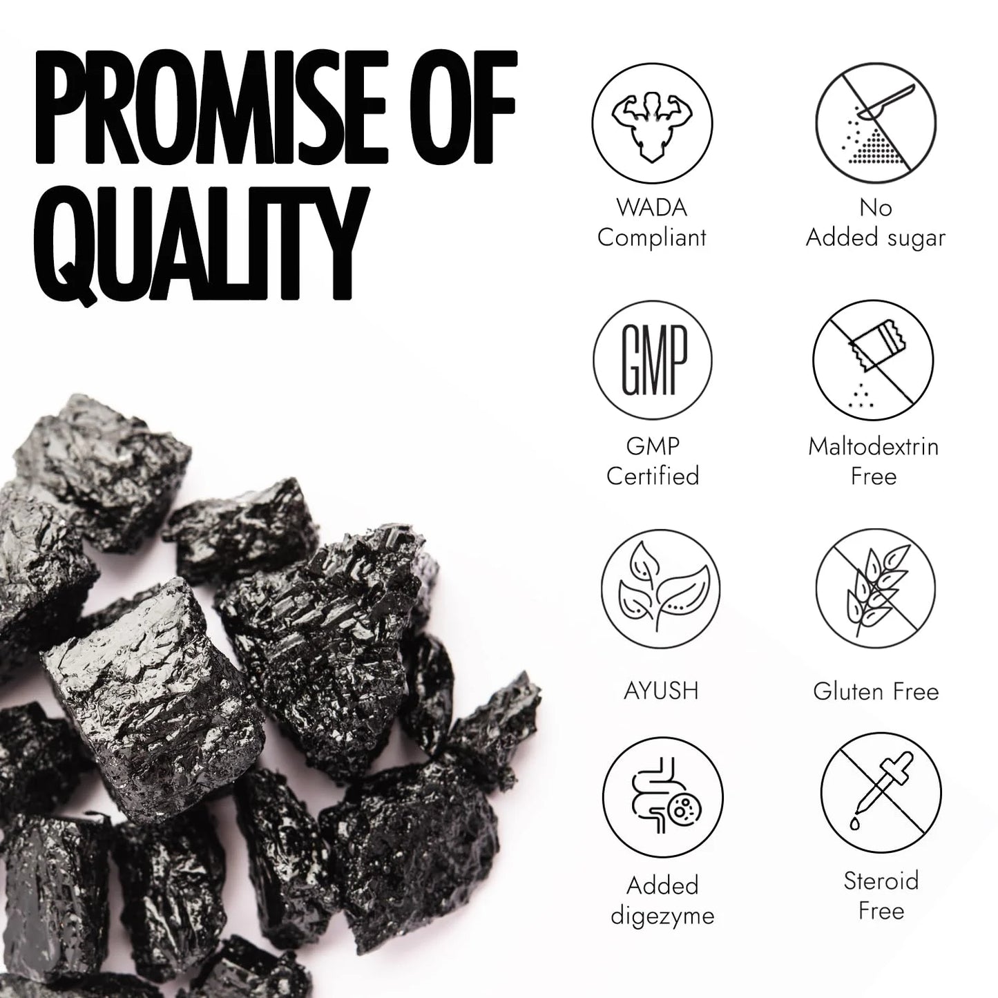 KAPIVA Testofuel Shilajit Whey